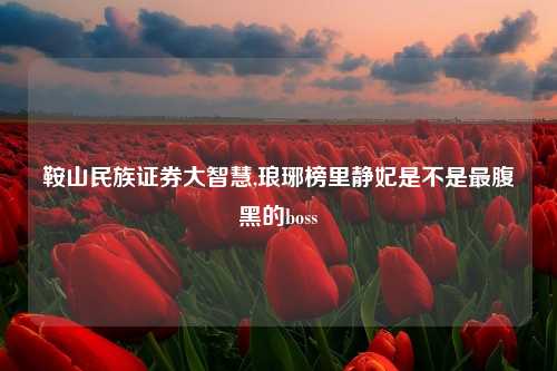 鞍山民族证券大智慧,琅琊榜里静妃是不是最腹黑的boss