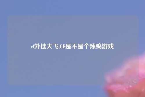 cf外挂大飞,CF是不是个辣鸡游戏