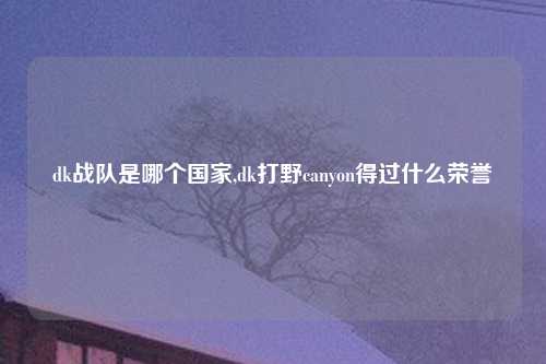 dk战队是哪个国家,dk打野canyon得过什么荣誉