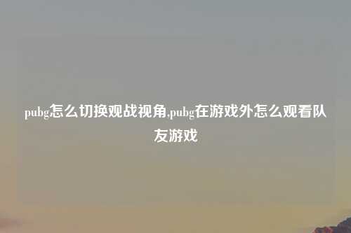 pubg怎么切换观战视角,pubg在游戏外怎么观看队友游戏