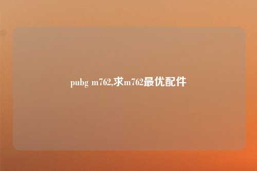 pubg m762,求m762最优配件