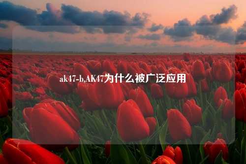 ak47-b,AK47为什么被广泛应用