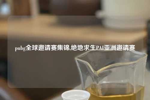 pubg全球邀请赛集锦,绝地求生PAI亚洲邀请赛