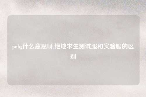 pubg什么意思呀,绝地求生测试服和实验服的区别