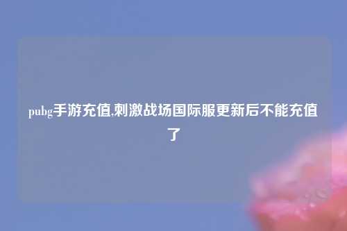 pubg手游充值,刺激战场国际服更新后不能充值了