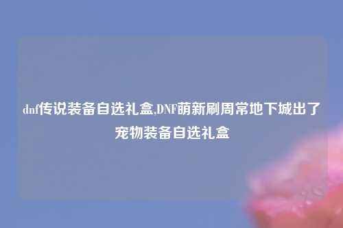 dnf传说装备自选礼盒,DNF萌新刷周常地下城出了宠物装备自选礼盒