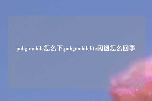 pubg mobile怎么下,pubgmobilelite闪退怎么回事
