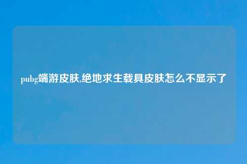 pubg端游皮肤,绝地求生载具皮肤怎么不显示了