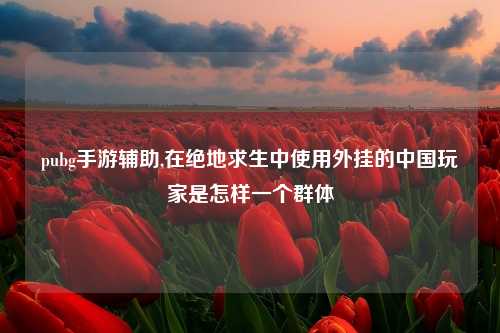 pubg手游辅助,在绝地求生中使用外挂的中国玩家是怎样一个群体