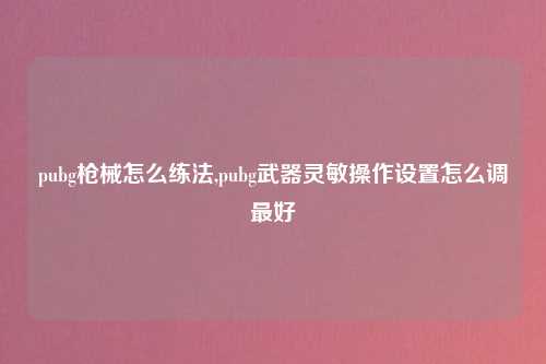 pubg枪械怎么练法,pubg武器灵敏操作设置怎么调最好