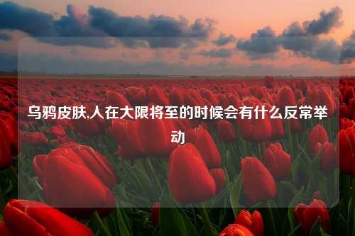 乌鸦皮肤,人在大限将至的时候会有什么反常举动
