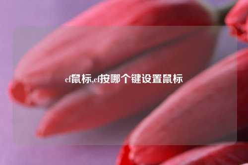 cf鼠标,cf按哪个键设置鼠标