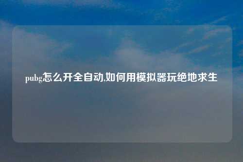 pubg怎么开全自动,如何用模拟器玩绝地求生