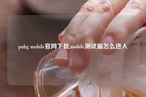 pubg mobile官网下载,mobile测试服怎么进入