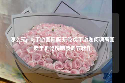 怎么玩pubg手游国际版,玩吃鸡手游如何调高画质手机吃鸡画质调节软件
