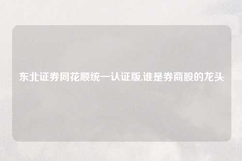 东北证券同花顺统一认证版,谁是券商股的龙头