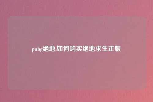 pubg绝地,如何购买绝地求生正版