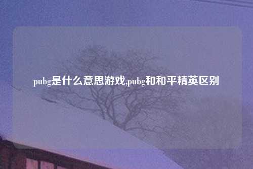 pubg是什么意思游戏,pubg和和平精英区别