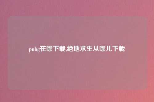 pubg在哪下载,绝地求生从哪儿下载