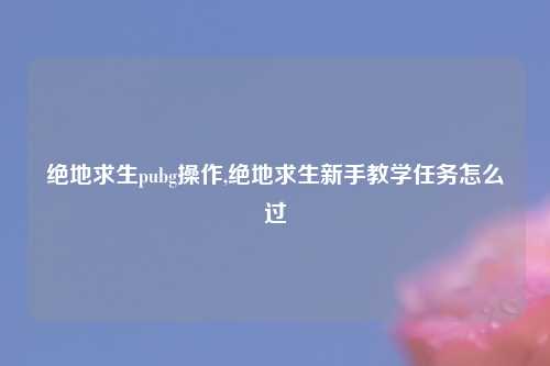 绝地求生pubg操作,绝地求生新手教学任务怎么过