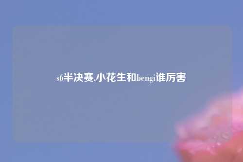 s6半决赛,小花生和bengi谁厉害