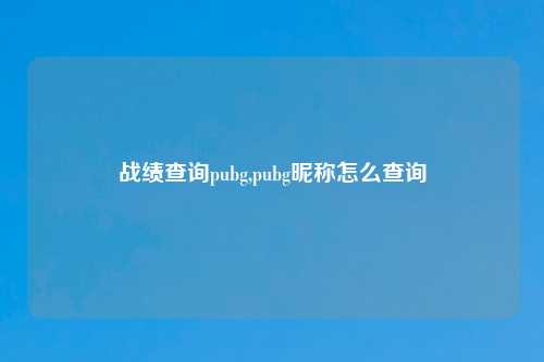 战绩查询pubg,pubg昵称怎么查询