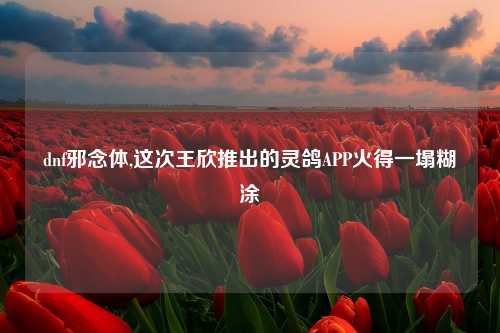 dnf邪念体,这次王欣推出的灵鸽APP火得一塌糊涂