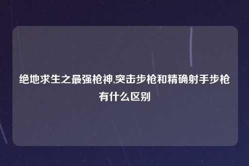 绝地求生之最强枪神,突击步枪和精确射手步枪有什么区别