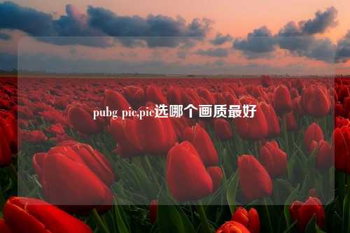 pubg pic,pic选哪个画质最好