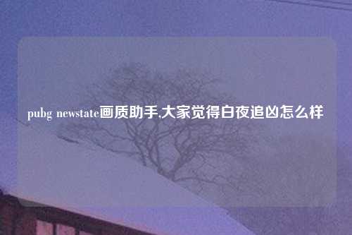 pubg newstate画质助手,大家觉得白夜追凶怎么样