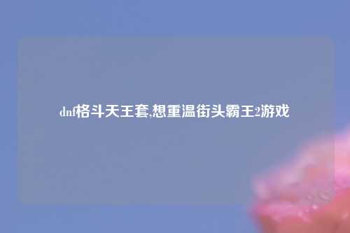dnf格斗天王套,想重温街头霸王2游戏