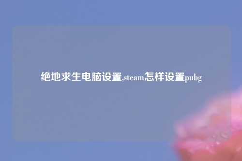 绝地求生电脑设置,steam怎样设置pubg