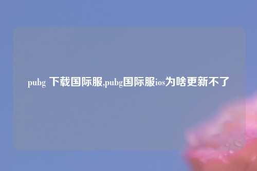 pubg 下载国际服,pubg国际服ios为啥更新不了