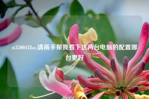 st3500418as,请高手帮我看下这两台电脑的配置哪台更好