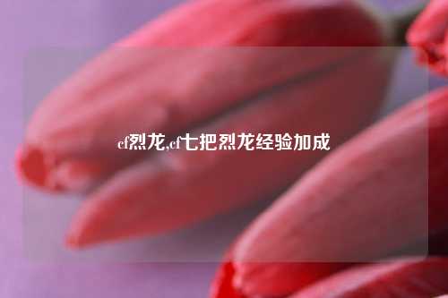 cf烈龙,cf七把烈龙经验加成