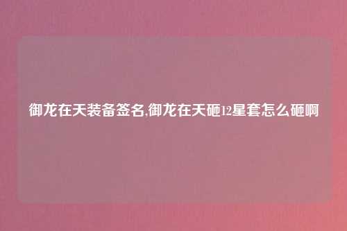 御龙在天装备签名,御龙在天砸12星套怎么砸啊