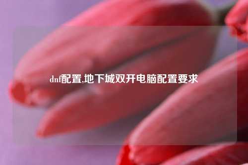 dnf配置,地下城双开电脑配置要求