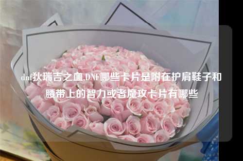 dnf狄瑞吉之血,DNF哪些卡片是附在护肩鞋子和腰带上的智力或者魔攻卡片有哪些