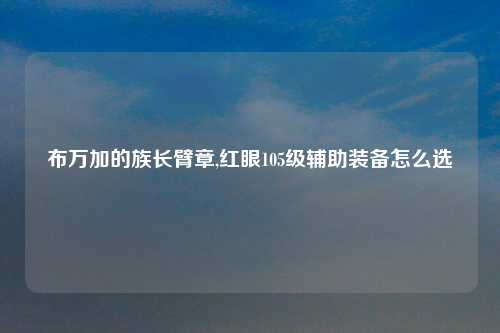 布万加的族长臂章,红眼105级辅助装备怎么选