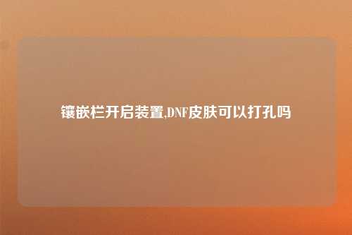 镶嵌栏开启装置,DNF皮肤可以打孔吗