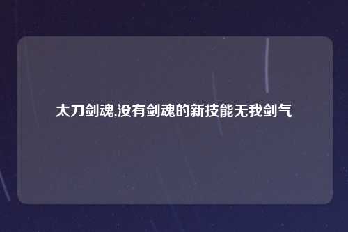 太刀剑魂,没有剑魂的新技能无我剑气