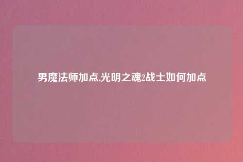 男魔法师加点,光明之魂2战士如何加点