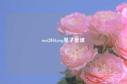 msi2016,rng皇子是谁