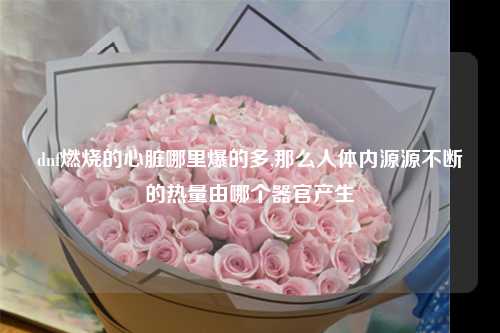 dnf燃烧的心脏哪里爆的多,那么人体内源源不断的热量由哪个器官产生