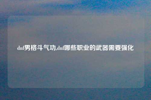 dnf男格斗气功,dnf哪些职业的武器需要强化