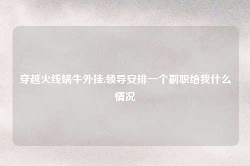 穿越火线蜗牛外挂,领导安排一个副职给我什么情况