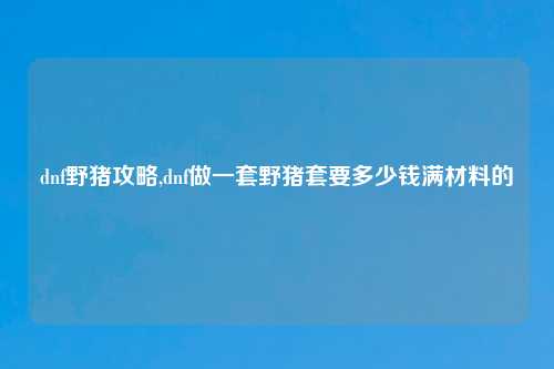 dnf野猪攻略,dnf做一套野猪套要多少钱满材料的