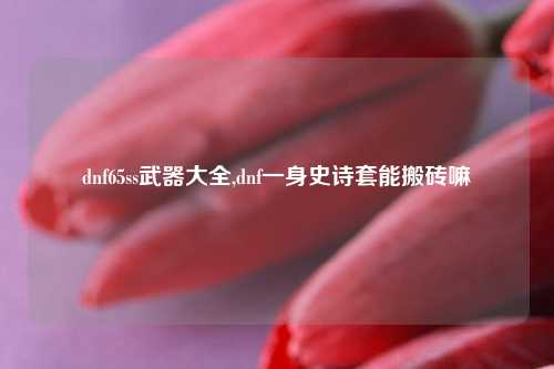 dnf65ss武器大全,dnf一身史诗套能搬砖嘛
