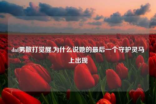 dnf男散打觉醒,为什么说她的最后一个守护灵马上出现