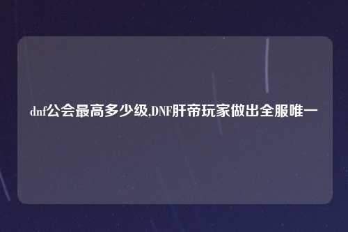 dnf公会最高多少级,DNF肝帝玩家做出全服唯一
